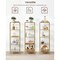 Narrow Glass Shelf Bookcase with Steel Frame for Bedroom Living Room Office Bathroom Storage